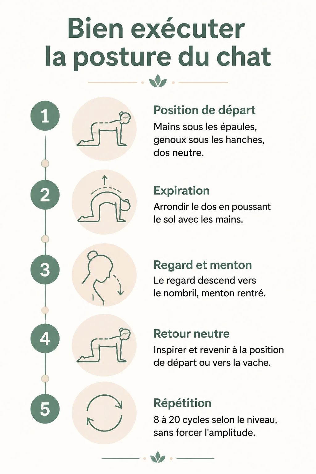 Bien exécuter la posture du chat : 1. Position de départ, 2. Expiration, 3. Regard et menton, 4. Retour neutre, 5. Répétition