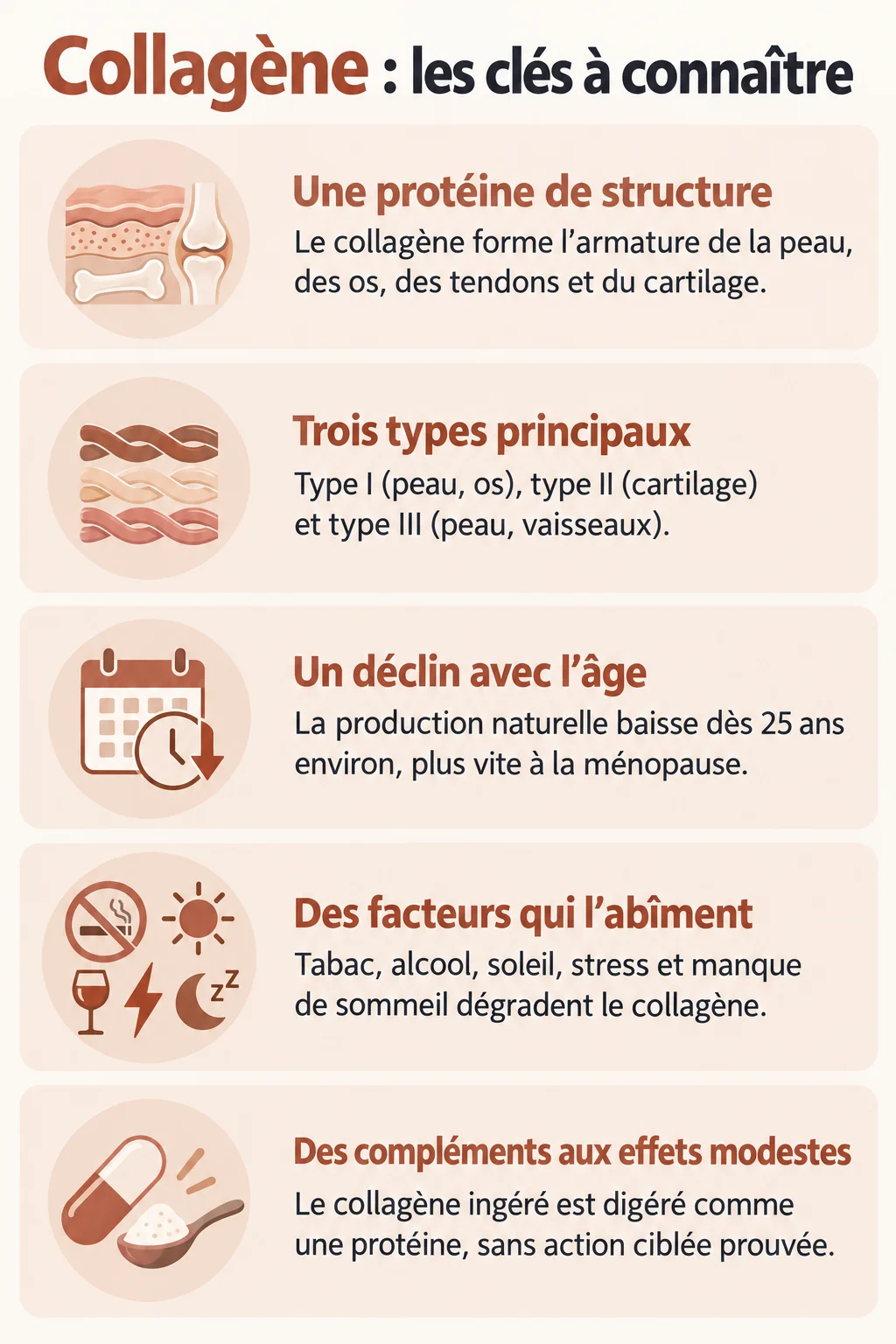 Collagène : les clés à connaître : Une protéine de structure, Trois types principaux, Un déclin avec l'âge, Des facteurs qui l'abîment, Des compléments aux effets modestes